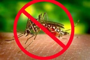 Film Fair | डेंगू व चिकनगुनिया के प्रति लोगों को जागरूक करने को जिला...
